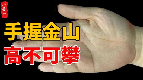 手握金山的手相图解：川字纹手相的人富贵吗_手握金山型手相,第2张